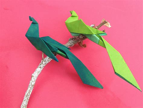 Bird Origami - Paper Bird of Paradise