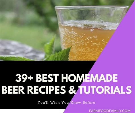 39+ Best Homemade Beer Recipes & Tutorials