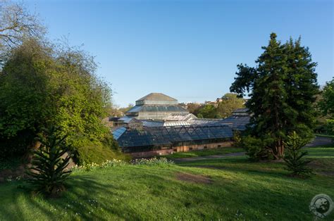 A Dear Green Place: The Glasgow Botanic Gardens - Traveling Savage