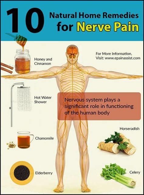 Tips for treating Diabetic Nerve Pain - Women Fitness Magazine Natural ...