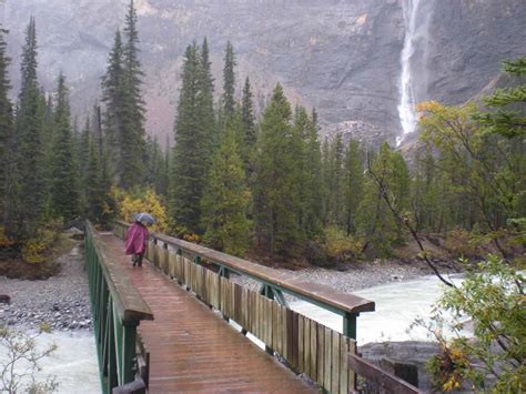 Takakkaw Falls - Tallest Waterfall in the Canadian Rockies