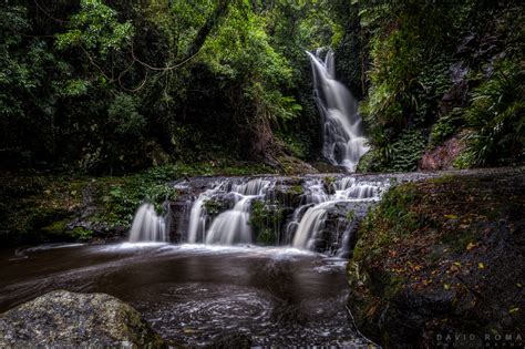 David Roma Photography | Running Creek Waterfall - Lamington National Park, Queensland, Australia