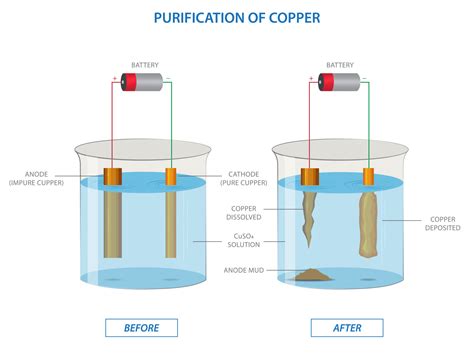 Electrolysis of copper sulfate solution with impure copper anode and pure copper cathode ...