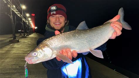 Pier Fishing Lake Michigan WHITEFISH! {Vertical Jigging} - YouTube