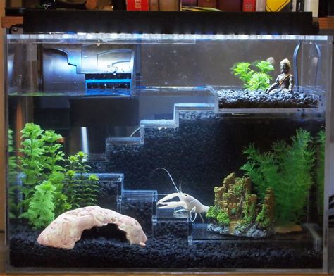 Luxurious multi level crayfish tank | Cool fish tanks, Fish tank, Fish tank themes