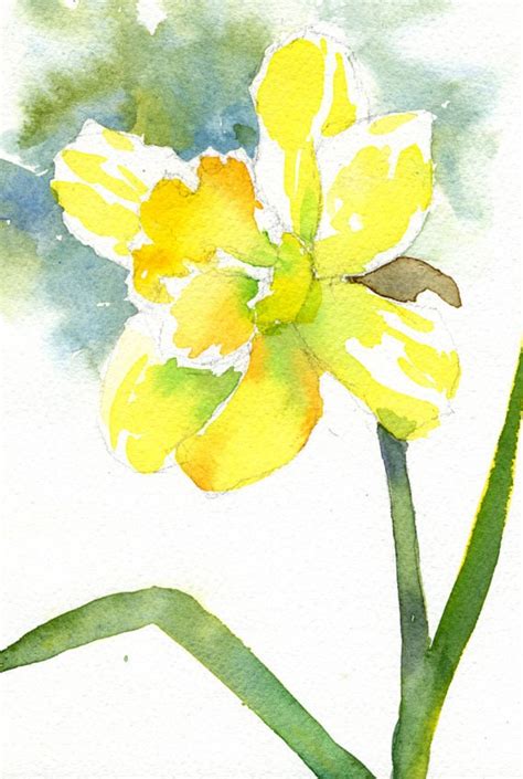 Yellow Daffodil Watercolor