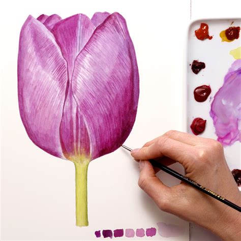 Watercolor Tulip Paintings