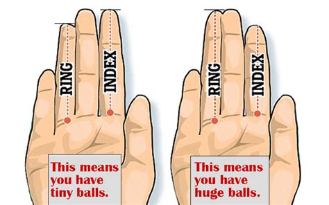 Look At Your Right Hand. If Ring Finger is Longer Than Index Finger You Might Have Big Balls