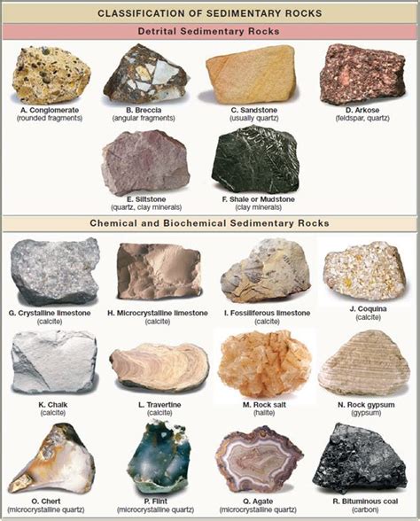 Chegg.com | Sedimentary rocks, Raw gemstones rocks, Geology rocks mineral