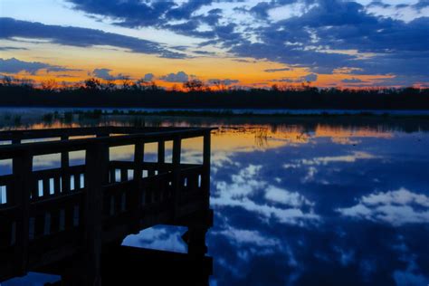 Brazos Bend State Park: See George Observatory, Wetlands & Alligators