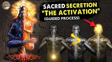 Sacred Secretion Activation - “Activate the Seed” Guided Meditation ...