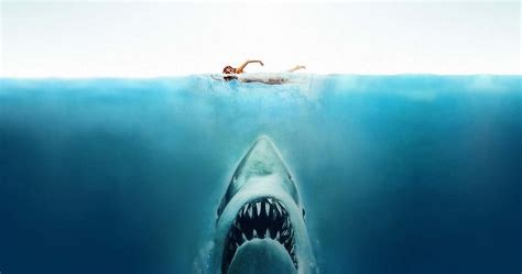 10 Hidden Details You Never Noticed In Jaws