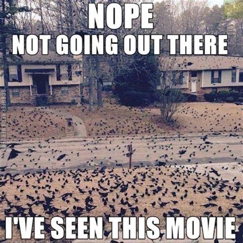 Oh yeah...Alfred Hitchcock's...The Birds! Filmed in CA, even! | Funny ...