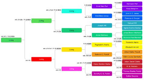 Find potential Y-DNA and mtDNA testers | DNA Painter Blog