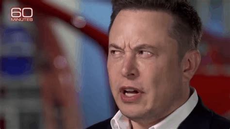 Elon Musk Pfp Gif