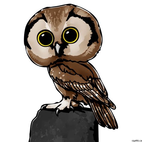 Owl Cartoon Drawing in 4 Steps With Photoshop