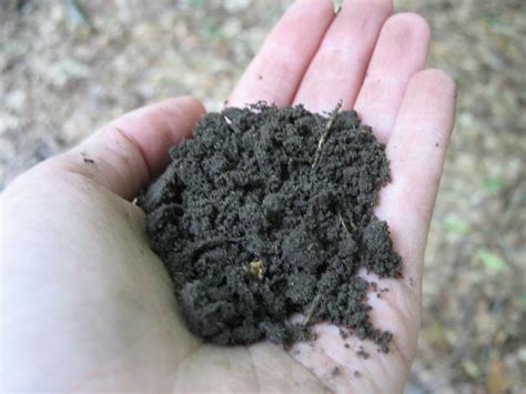 Soil | Silt Loam 1. How does your soil's texture aid or hind… | Flickr