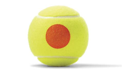 Wilson Starter Orange balls | Tennis Warehouse Australia