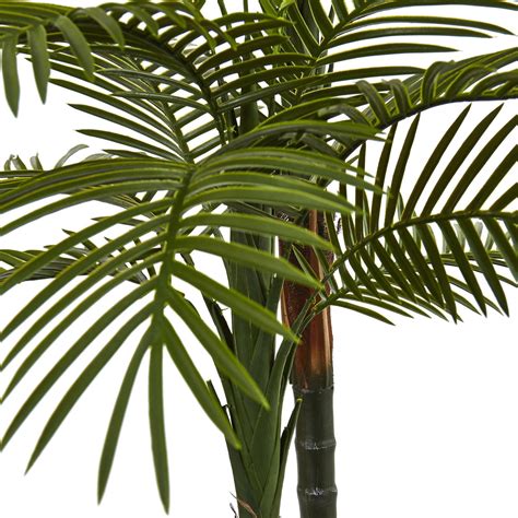 5.5’ Double Robellini Palm Tree UV Resistant (Indoor/Outdoor) | Nearly ...