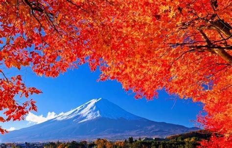 Top 5 Onsen for Fall Colors | All About Japan