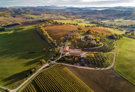 Your 2023 guide to Marche wine region | Winetourism.com