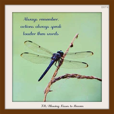 Dragonfly Meaning Quotes - ShortQuotes.cc