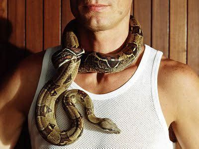 Top Five Harmless Snakes You Can Keep As Pets - Pets - Nigeria