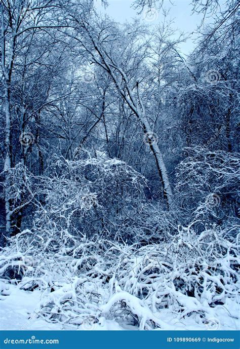 A New England Snow Storm stock image. Image of nature - 109890669