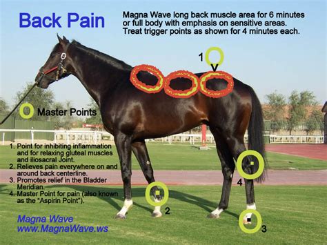 MAGNA WORX - Magna Wave (PEMF) Therapy - AW Performance Horses LLC.