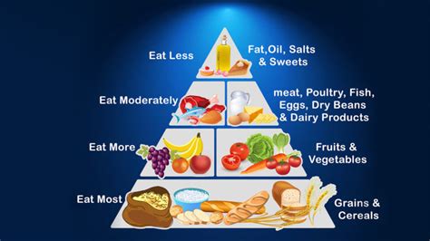 Functions Of Food, Food Groups, Food Pyramid – NutritionFact.in