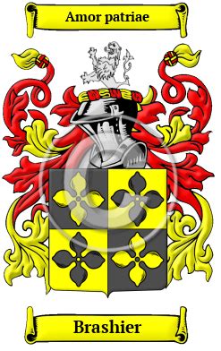 Brashier Name Meaning, Family History, Family Crest & Coats of Arms