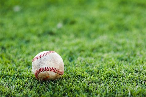 Baseball-in-Grass-1024×683 – Long Island Sports Dome