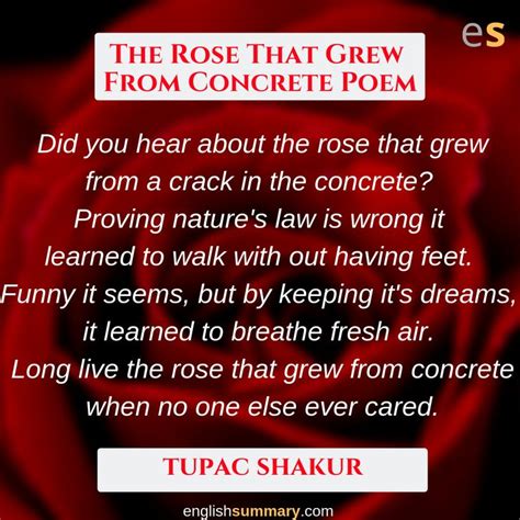 The Rose That Grew From Concrete Poem | Concrete poem, Poems, Inspirational quotes