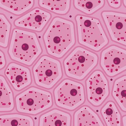 Pink Human Skin Cell Vector Seamless Pattern Stock Illustration - Download Image Now - iStock