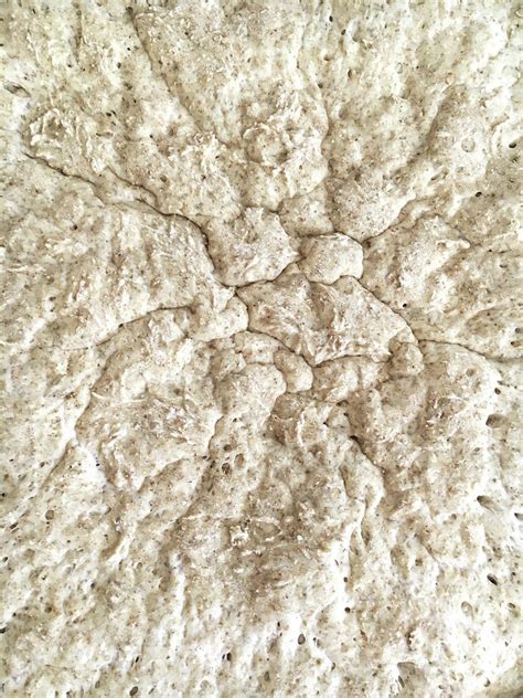 Bread Dough Texture Photograph by Tom Gowanlock