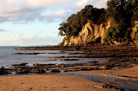 Page 13 | Tauranga Beaches Images - Free Download on Freepik