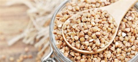 Buckwheat Nutrition, Benefits and How to Cook - Dr. Axe