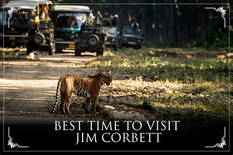 Best Time to Visit Jim Corbett | Resort De Coracao