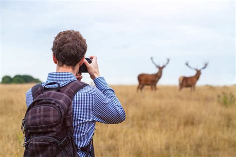 What's the Best Camera for Wildlife Photography? | Nature TTL