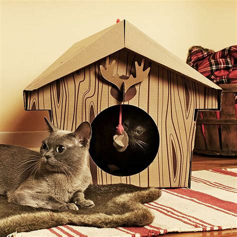 10 Unusual Cardboard Cat Playhouses - Design Swan