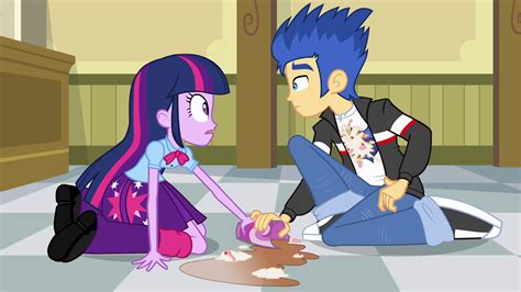 My Little Pony Friendship Is Magic Princess Twilight Sparkle And Flash Sentry