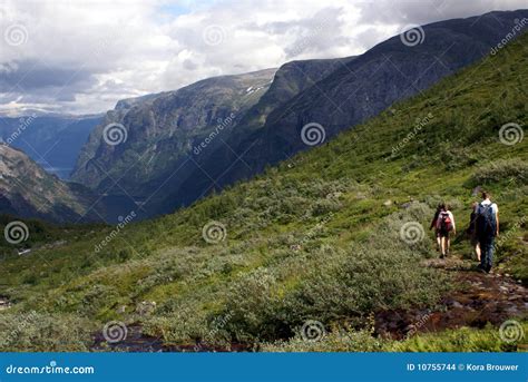 Hiking in fjord Norway stock photo. Image of sport, hike - 10755744