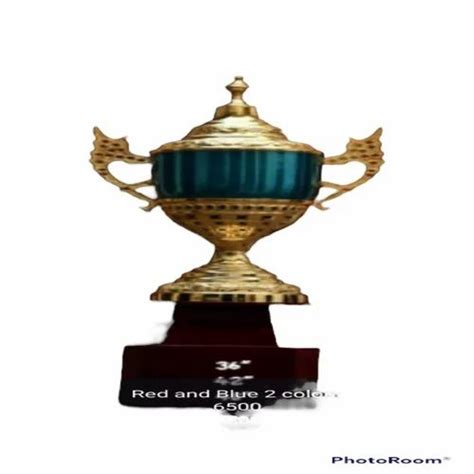 Brass Golden Ipl Cup Trophy, For School at Rs 9500/set in Moradabad ...