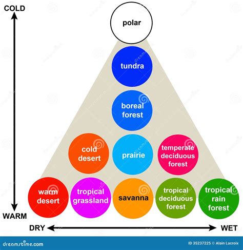 Vegetation Types Royalty-Free Stock Photography | CartoonDealer.com ...
