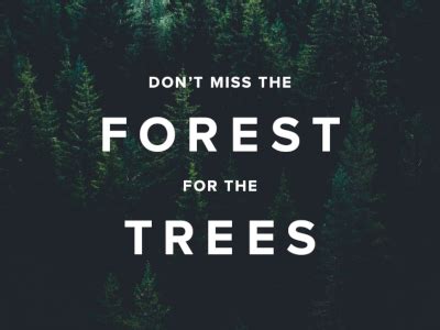 ROI V Attribution: Don’t Miss the Forest for the Trees