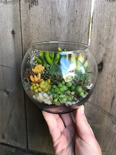 Succulent Terrarium in San Francisco, CA | Elizabeth's Flowers