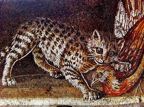 Cat mosaic from Pompeii | Roman history, Pompeii, Roman mosaic