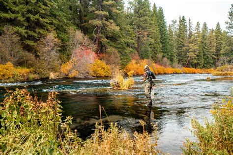 The DESCHUTES is America's Most Beautiful National Forest (PHOTOS)