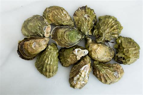 Wellfleet Oysters (MA) – Element Seafood