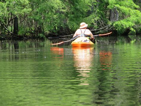 Bikes, Boots, & Boats: Kayaking the Waccamaw River from J Todd Landing